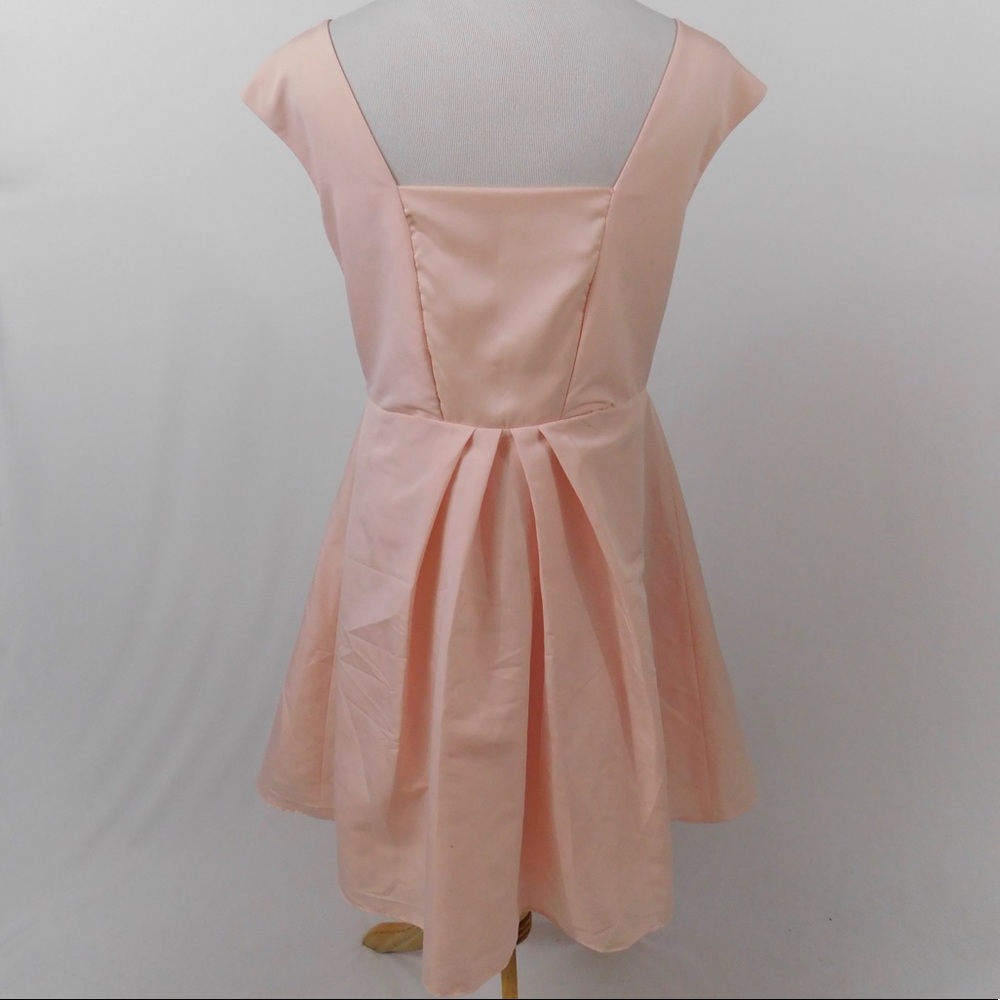 Ted Baker Pale Pink Dress - Picture 6 of 6